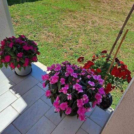 Apartmani Danica Воднян Екстериор снимка