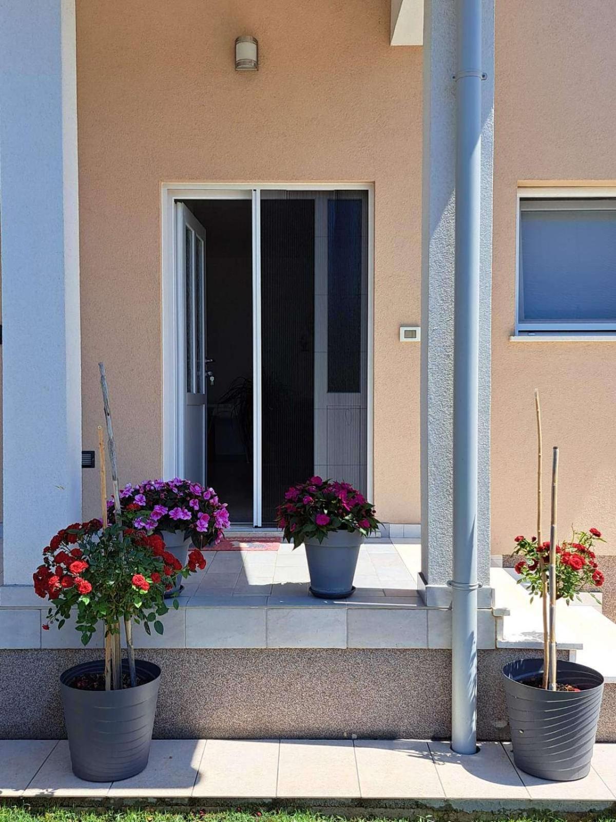 Apartmani Danica Воднян Екстериор снимка